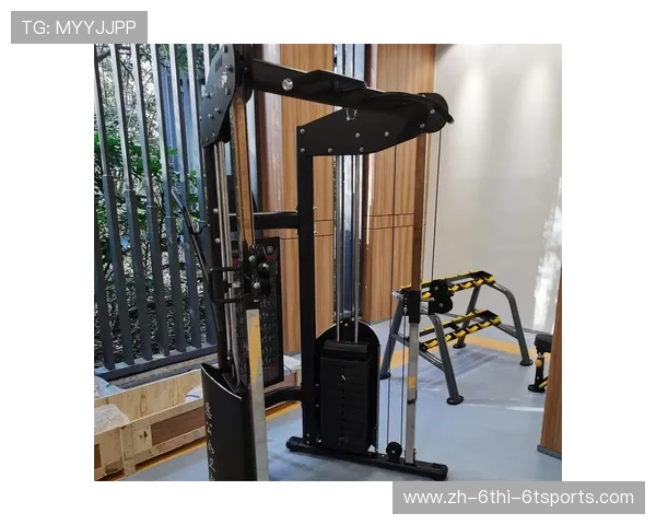 简单有效健身器材推荐打造基础家庭健身房